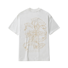 Carregar imagem no visualizador da galeria, Camiseta Carnan Lilium Off White